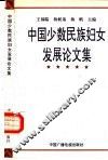 中国少数民族妇女发展论文集 封面