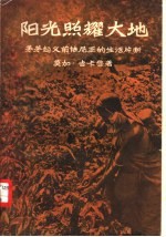 阳光照耀大地  茅茅起义前怯尼亚的生活片断 封面