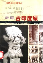 走近古印度城 封面