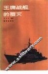 王牌战舰的覆灭 封面