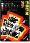 缅甸荡寇实录 封面