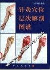 针灸穴位层次解剖图谱 封面