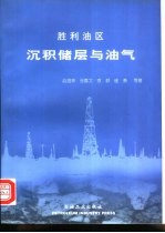 胜利油区沉积储层与油气 封面