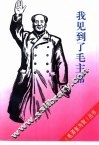 我见到了毛主席 封面