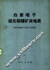 白家咀子硫化铜镍矿床地质 封面