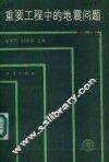 重要工程中的地震问题 封面