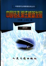 中国钻孔灌注桩新发展 封面