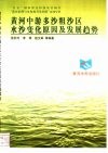 黄河中游多沙粗沙区水沙变化原因及发展趋势 封面
