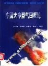 中国大中型气田概论 封面