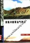 前陆冲断带油气勘探 封面