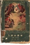 安静的森林 封面