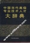 中国当代高级专业技术人才大辞典 封面