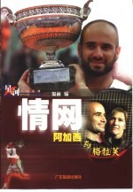 情网  阿加西与格拉芙 封面