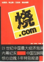 烧.com 21世纪中国最大经济泡沫内幕纪实 中国互连网惊心动魄5年特别报道 封面
