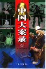 中国大案录  1 封面