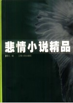 悲情小说精品 封面