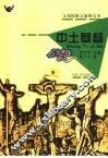 中土基督 封面