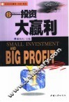 小投资·大赢利 封面