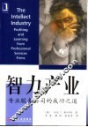 智力产业  专业服务公司的成功之道 封面