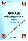 领导人员任期经济责任审计实务与技巧 封面