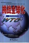 挑战全球化  经济全球化与中国企业 封面