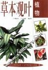草本观叶植物 封面