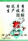 切花月季生产技术图解 封面