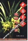 中国兰花栽培与鉴赏 封面