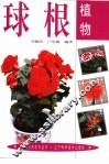 球根植物 封面