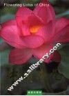 中国荷花 封面