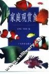 家庭观赏鱼 封面