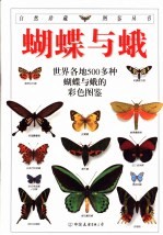 蝴蝶与蛾 封面