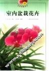 室内盆栽花卉 封面