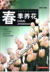 春季养花 封面