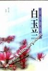 白玉兰 封面