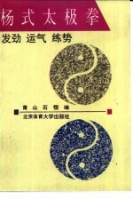 杨式太极拳  发劲、运气、练势 封面