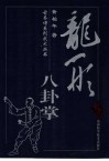龙形八卦掌 封面