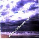 去年冬天在墨尔本 封面