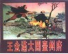 精品收藏本  王金满大闹台州府 封面