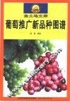 葡萄推广新品种图谱 封面