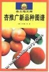 杏推广新品种图谱 封面