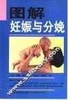图解妊娠与分娩 封面