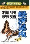 精细养殖经济昆虫 封面