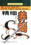 精细养蝎 封面