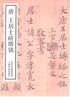 唐王居士砖塔铭 封面