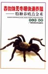 毒蜘蛛无冬眠快速养殖  特种养殖点金术 封面