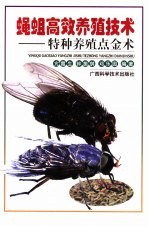 蝇蛆高效养殖技术  特种养殖点金术 封面