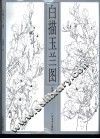 白描玉兰图 封面