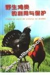 野生鸡类的利用与保护 封面