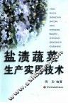 盐渍蔬菜生产实用技术 封面